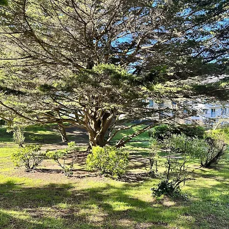 Le Petit Paradis By Tranquil At פורנישי