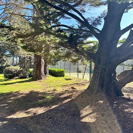 דירה Le Petit Paradis By Tranquil At פורנישי