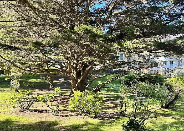 Le Petit Paradis By Tranquil At Pornichet