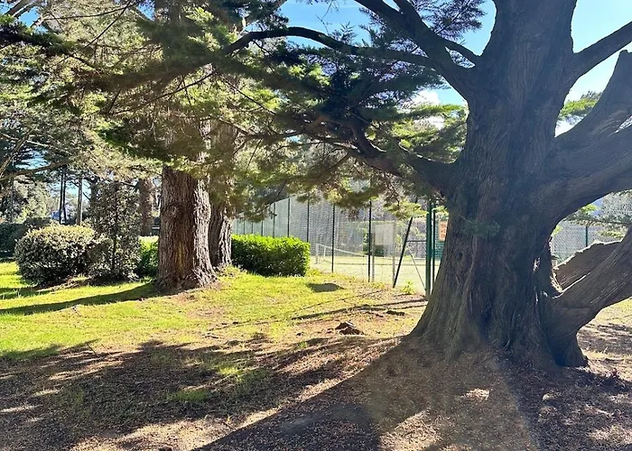 Apartment Le Petit Paradis By Tranquil At Pornichet